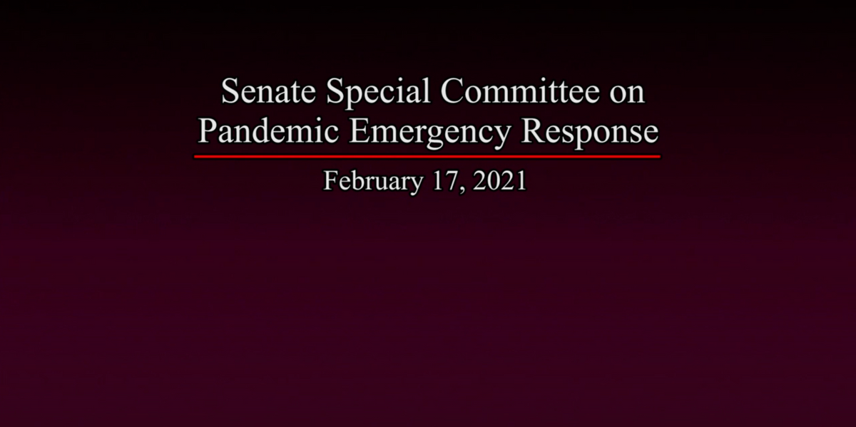 CQEL Senate Testimony: Special Committee on Pandemic Emergency Response